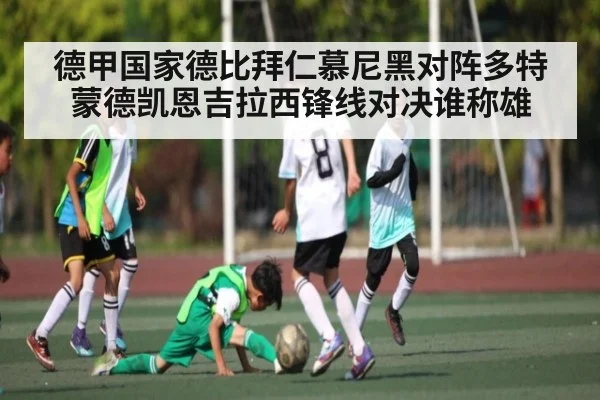 德甲国家德比拜仁慕尼黑对阵多特蒙德凯恩吉拉西锋线对决谁称雄